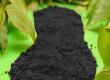 The Carbon Trust and Your Office Carbon Footprint